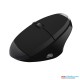 Meetion Ergonomic Wireless Vertical Mouse R390 (6M)